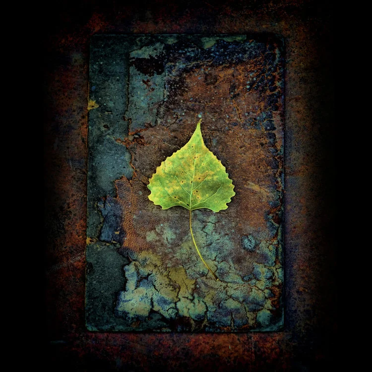 rustic+green+leafa.jpg