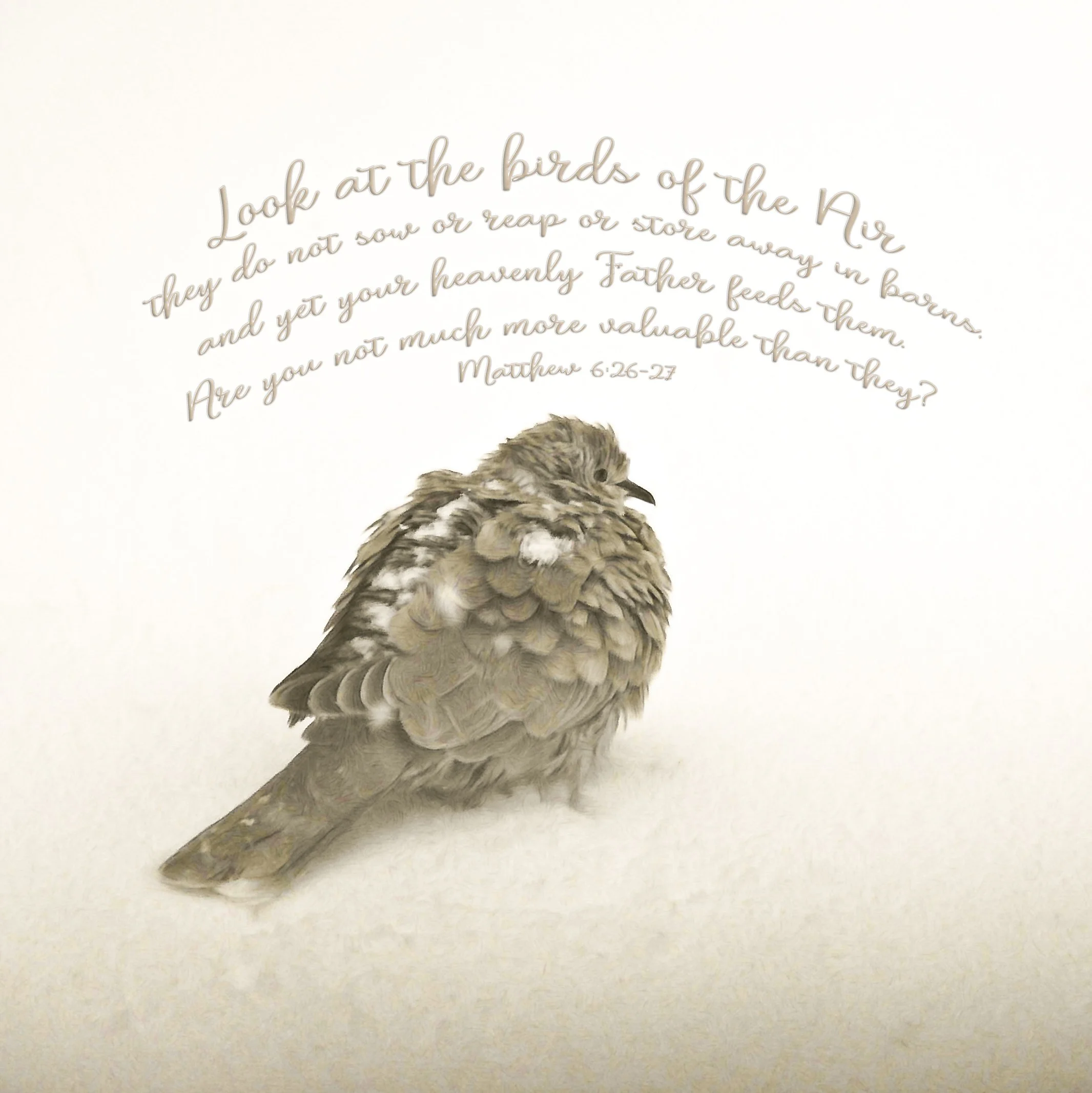 10x10 SQUARE BEST DOVE SCRIPTURE LIGHTENED.jpg