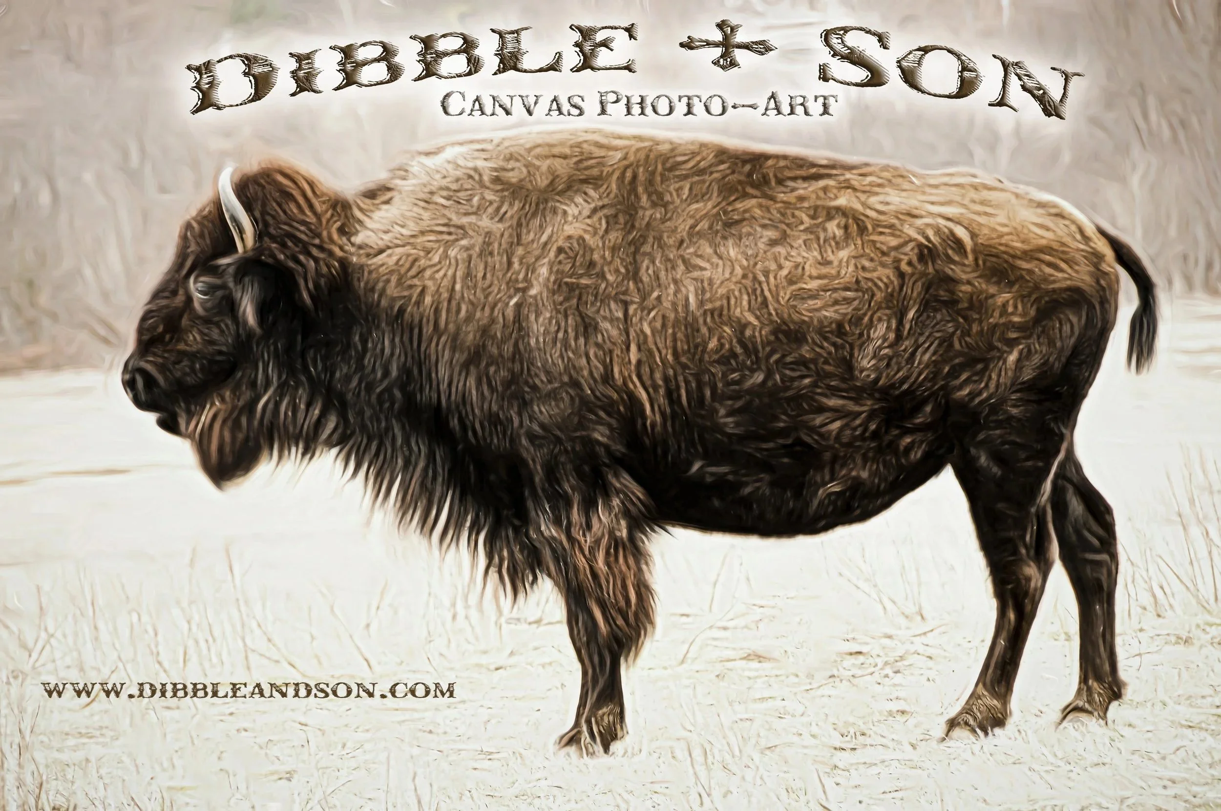 Dibble &amp; Son Gallery