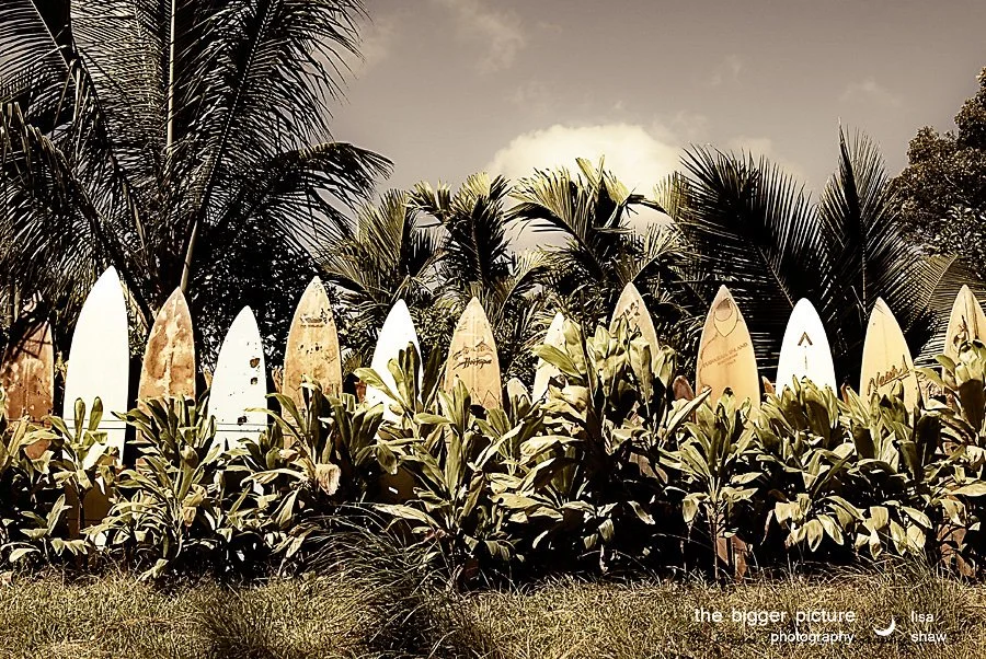 Board