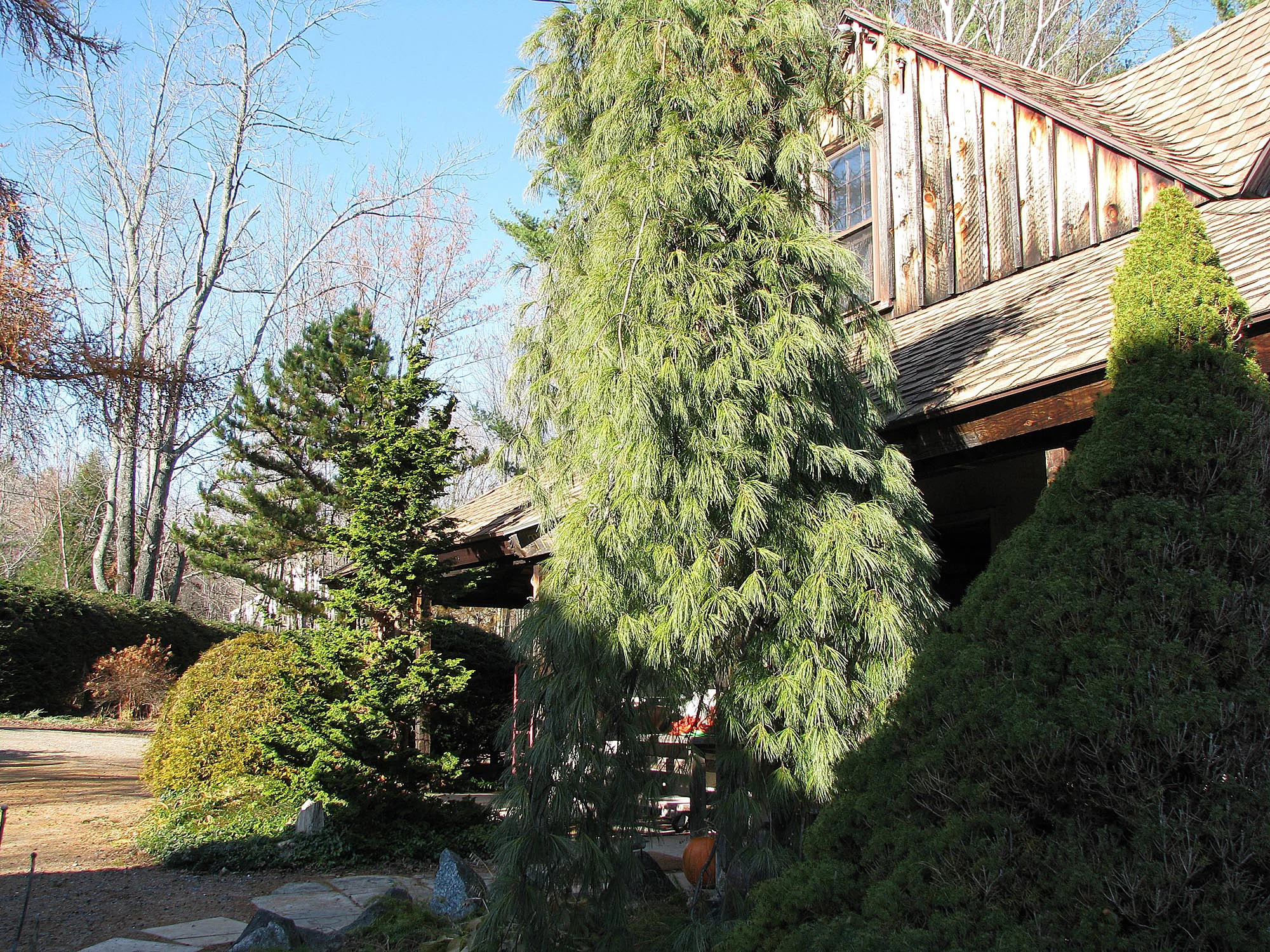 The studio garden in Autumn