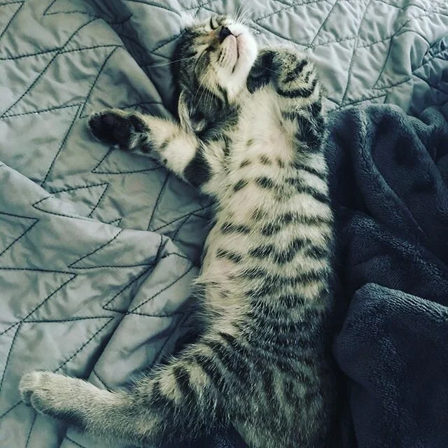 Sweet dreams y&rsquo;all 💖🙏🏼🌙