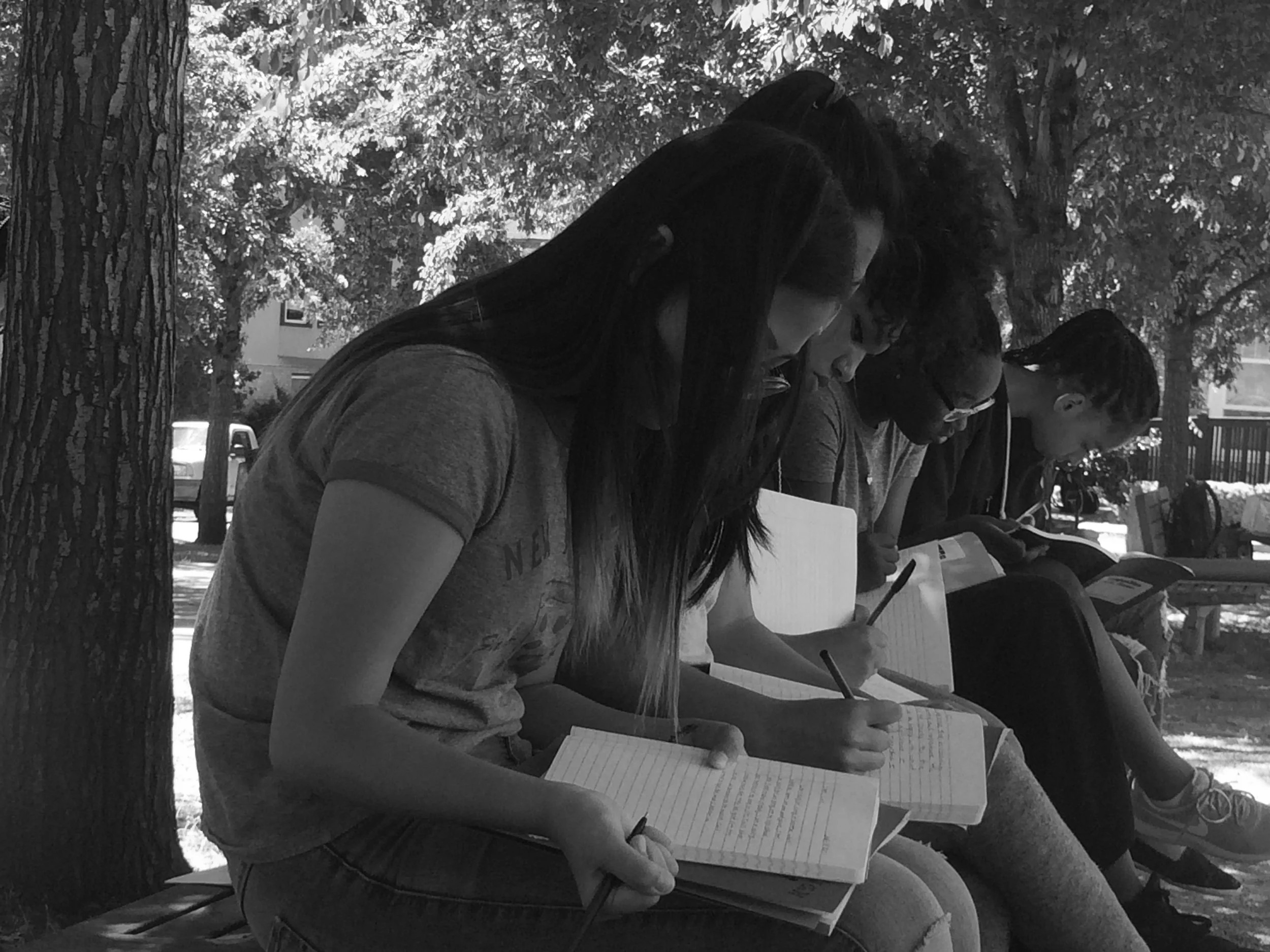 DYVAS journals during a field trip (Jul 2017)