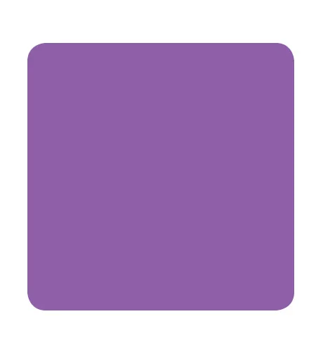 Fuchsia.jpg
