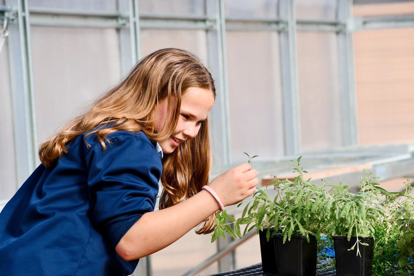 Happy Earth Day!
 
As stewards of God's creation, it's our responsibility to cherish and protect the Earth, ensuring that future generations can continue to enjoy its blessings.  Here at MIS, we are lucky to have the opportunity to teach our students