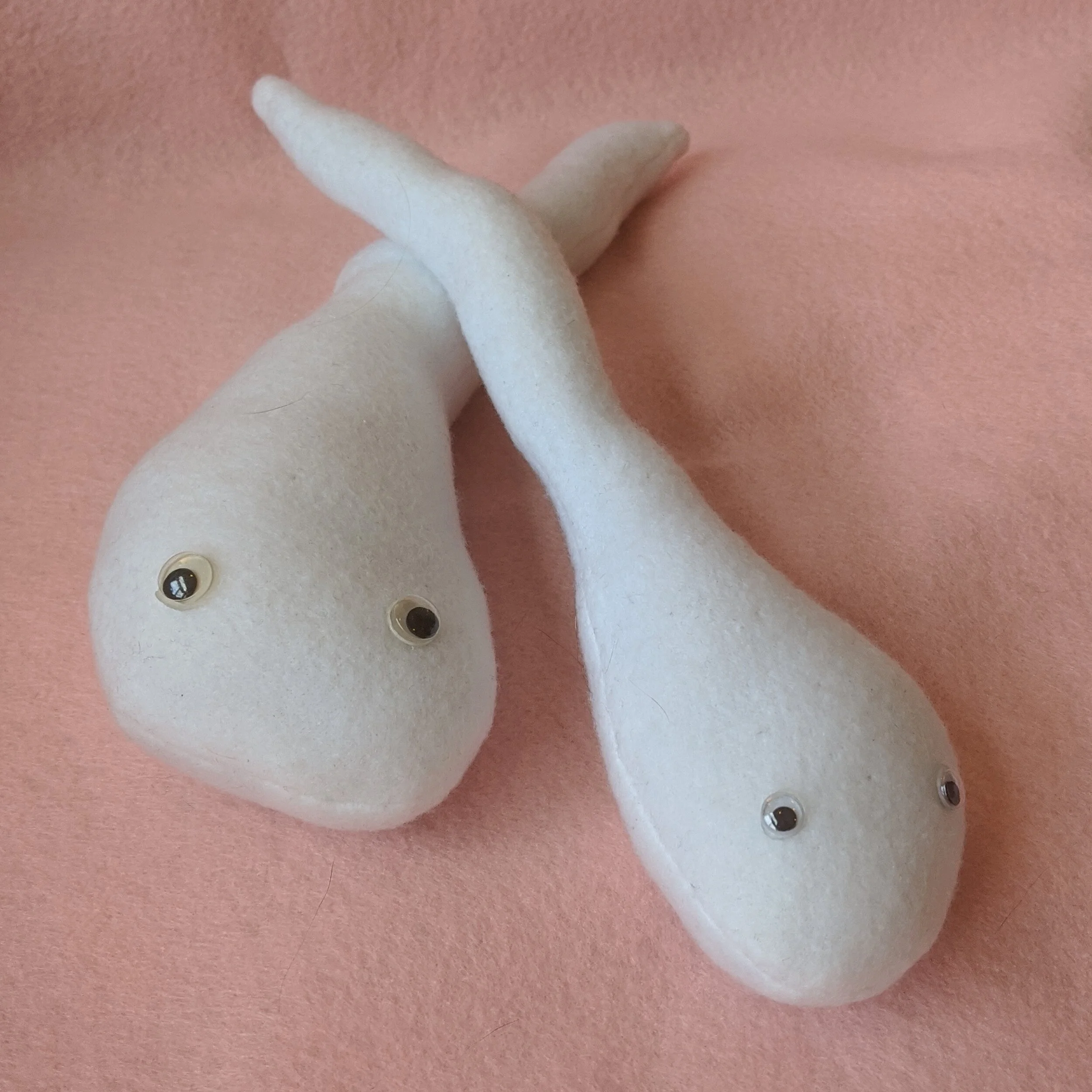 sperm2.jpg