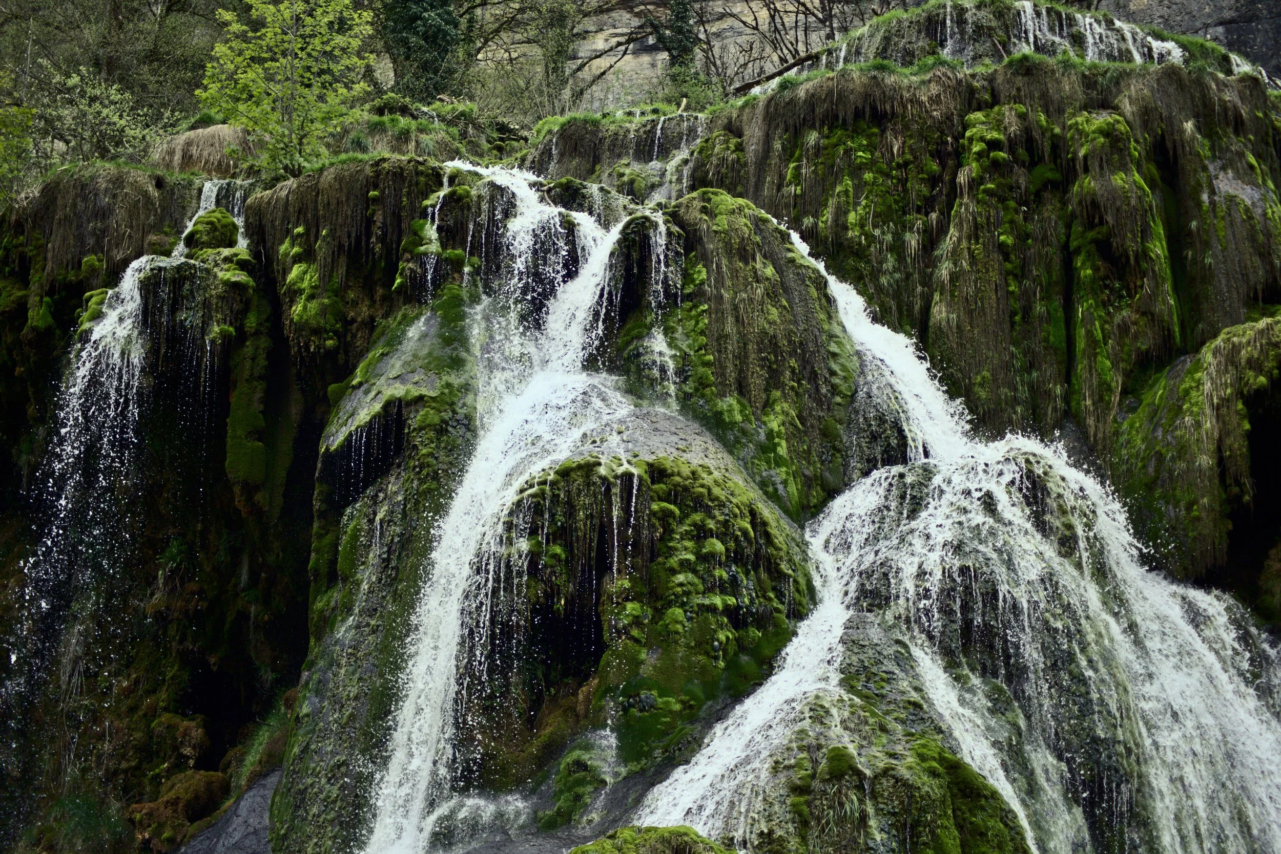 The Cascade and the Seat at the Table