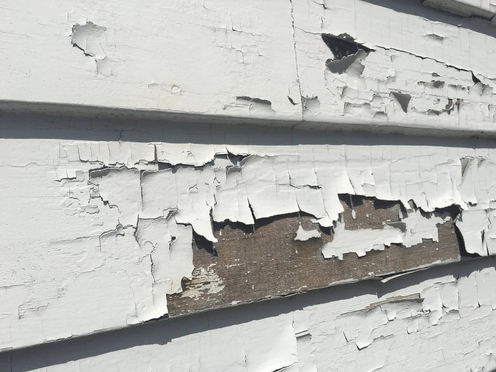 leadpaint.jpg