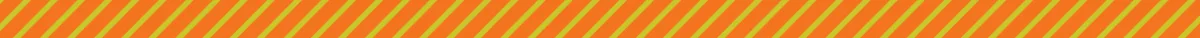 Lakshmi_OrangeDivider_1200x100.jpg