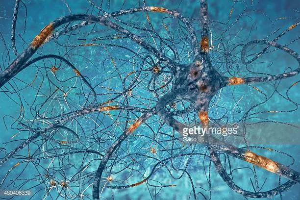 Photo by Svisio/iStock / Getty Images