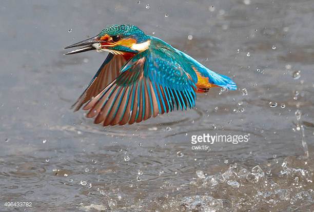 Photo by cwk15/iStock / Getty Images