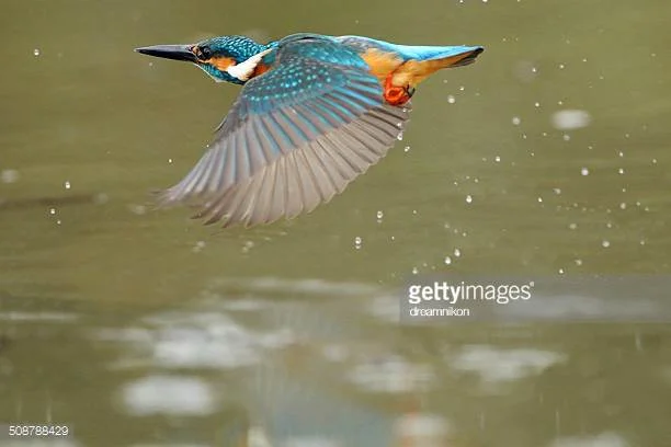 Photo by dreamnikon/iStock / Getty Images