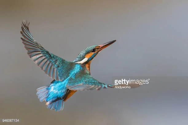 Photo by Andyworks/iStock / Getty Images