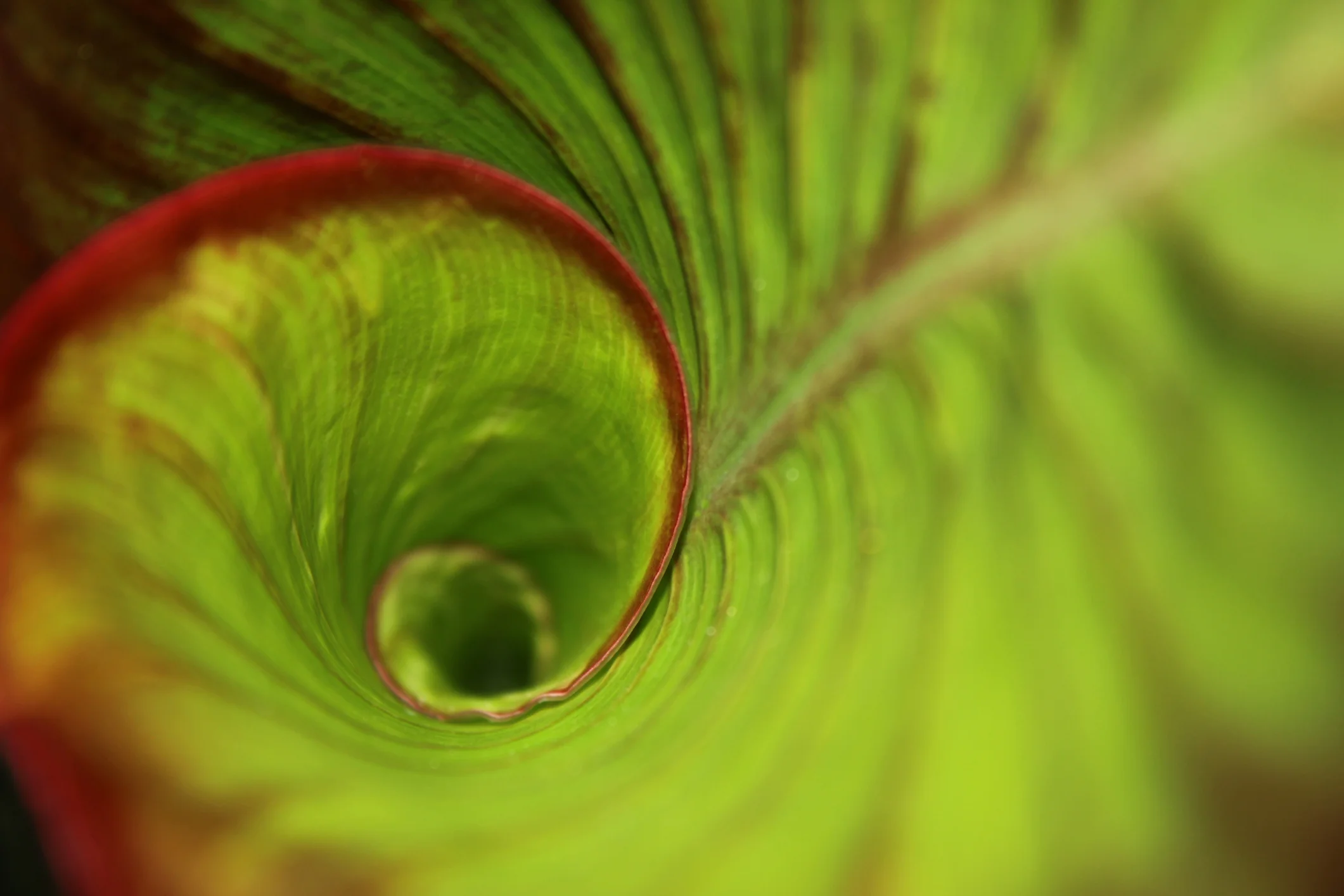 Photo by gracieross/iStock / Getty Images
