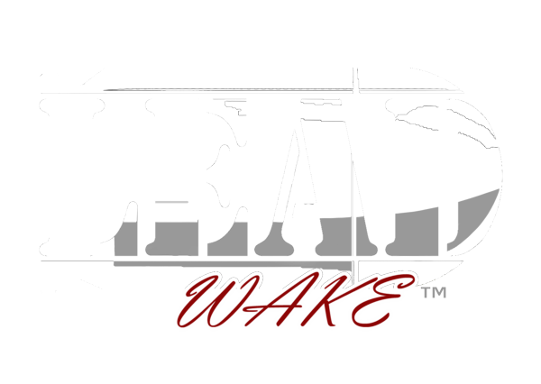 lead_wake_logo.png