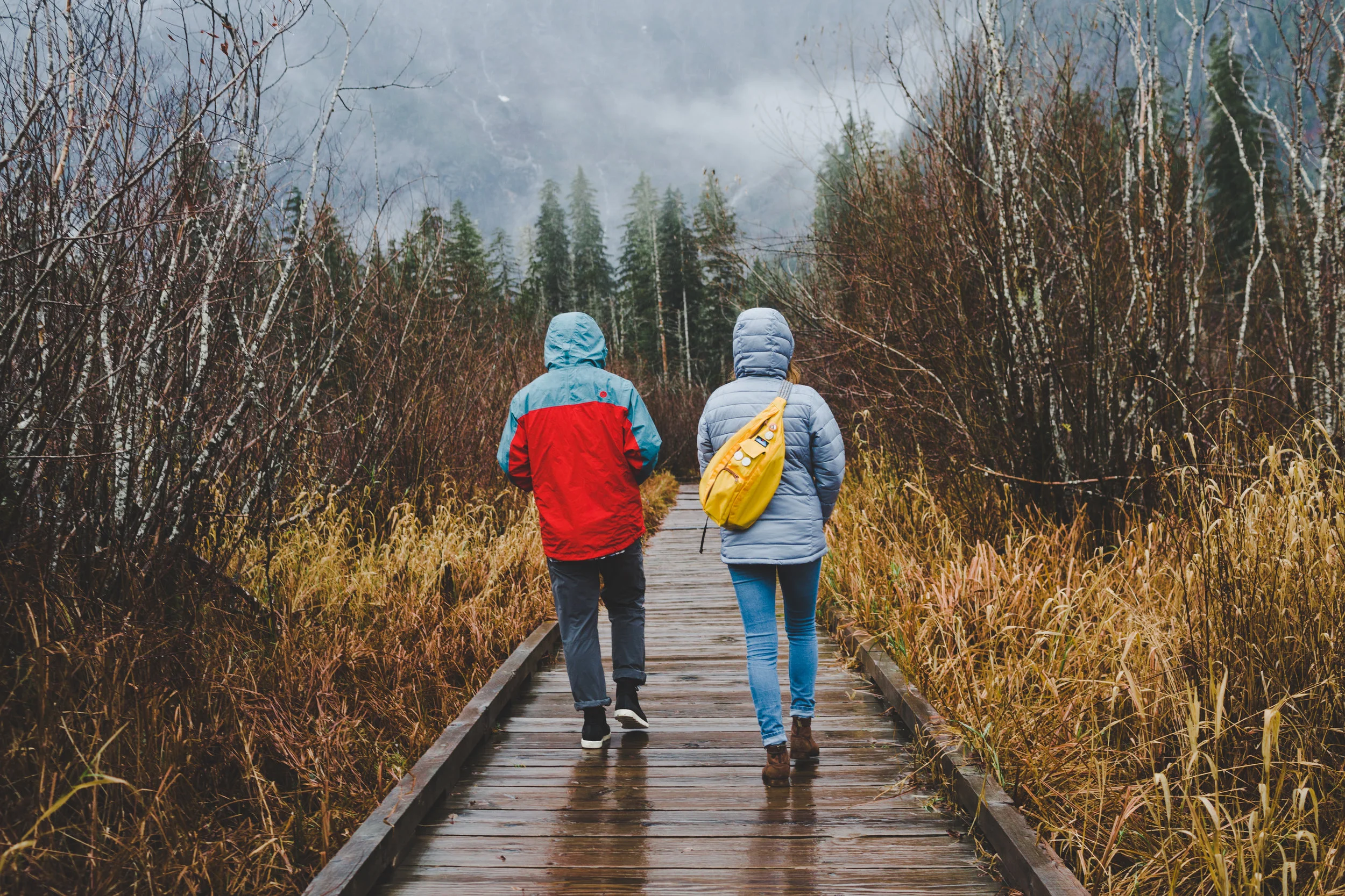AdobeStock_138915935 (1).jpeg