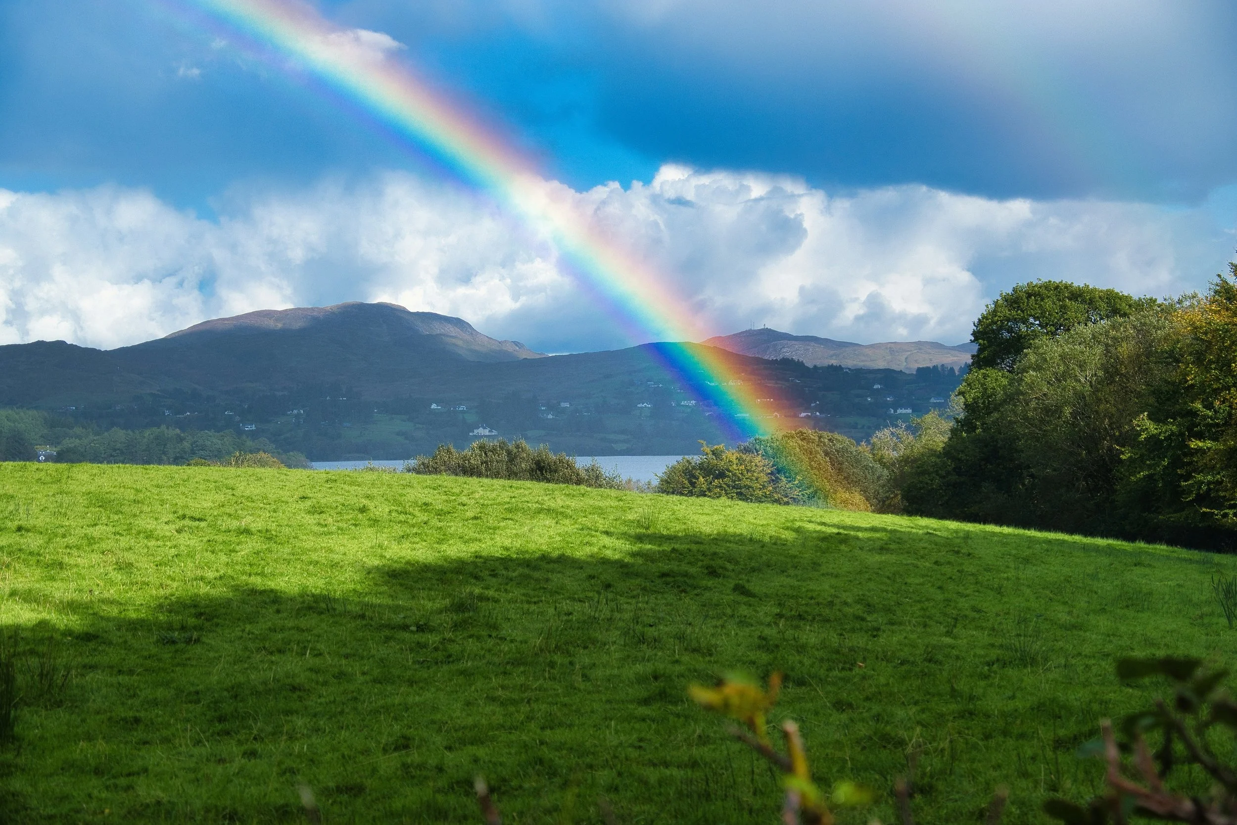 Landscape with green grace in foreground, lake and hills in the background, with a double rainbow