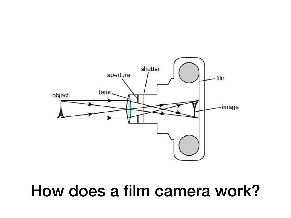 Film 101.002.jpeg