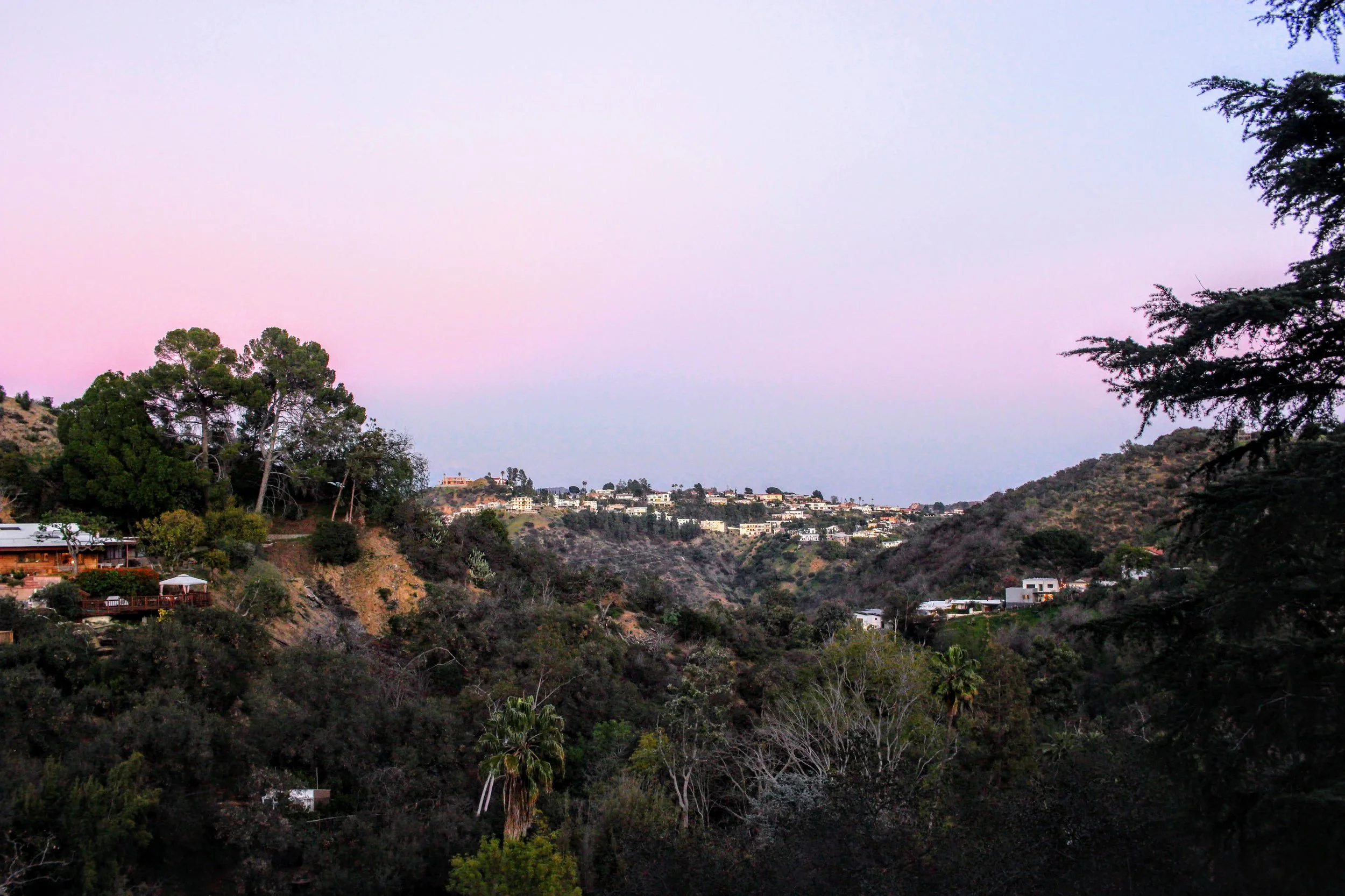 IMG_6672.CR2.jpg