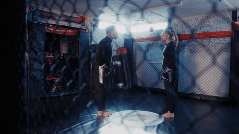 Martial Arts Fight GIF-downsized_large.gif