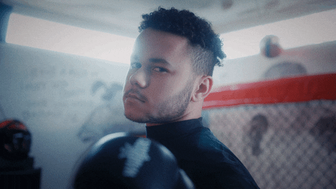 Martial Arts Fighting GIF-downsized_large.gif
