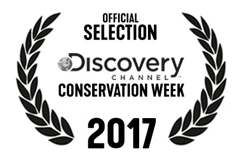 Wreath_Discovery.jpg
