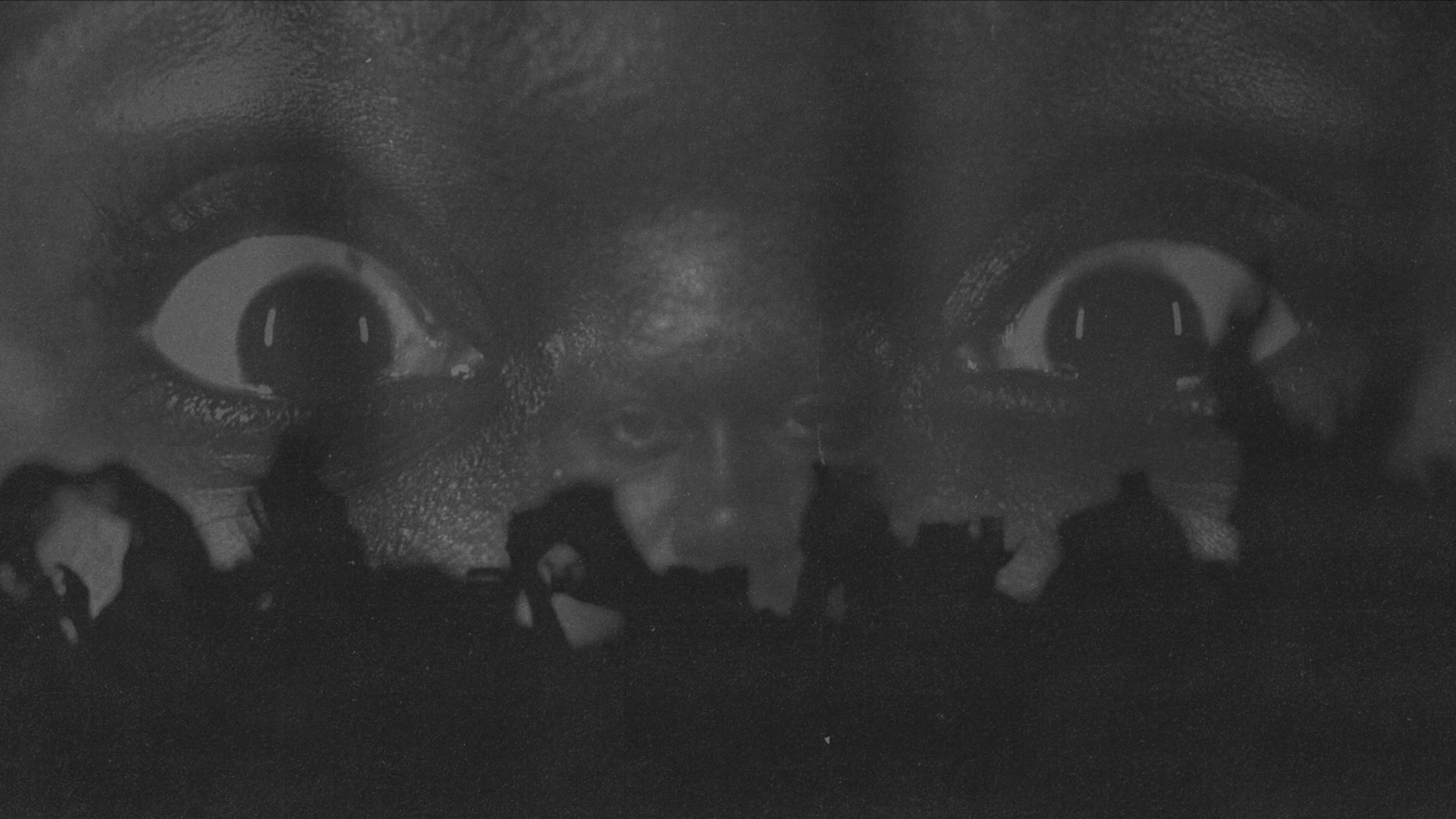 Screenshot 2026-02-02 at 15.02.04.png