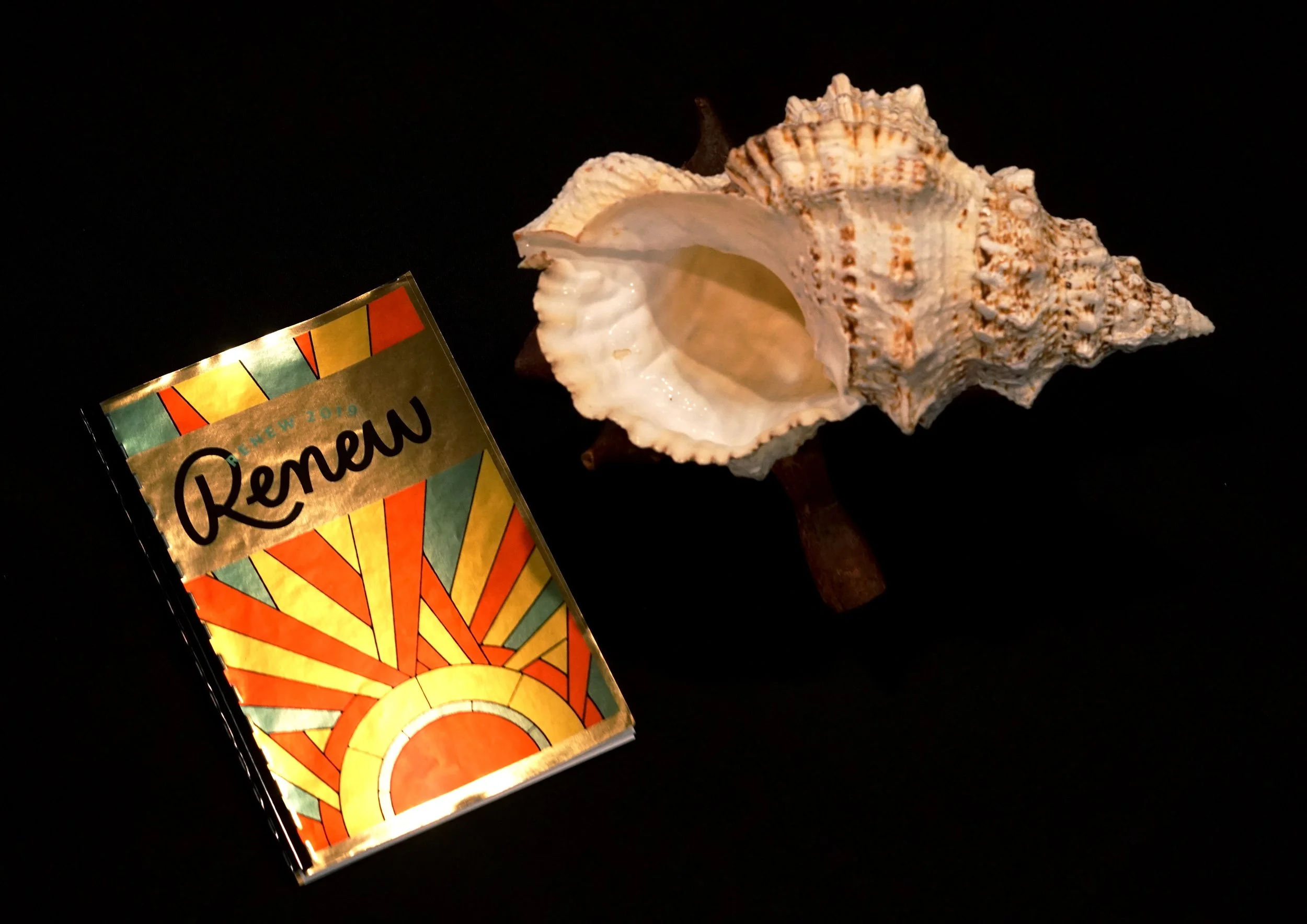 booklet-shell.jpg