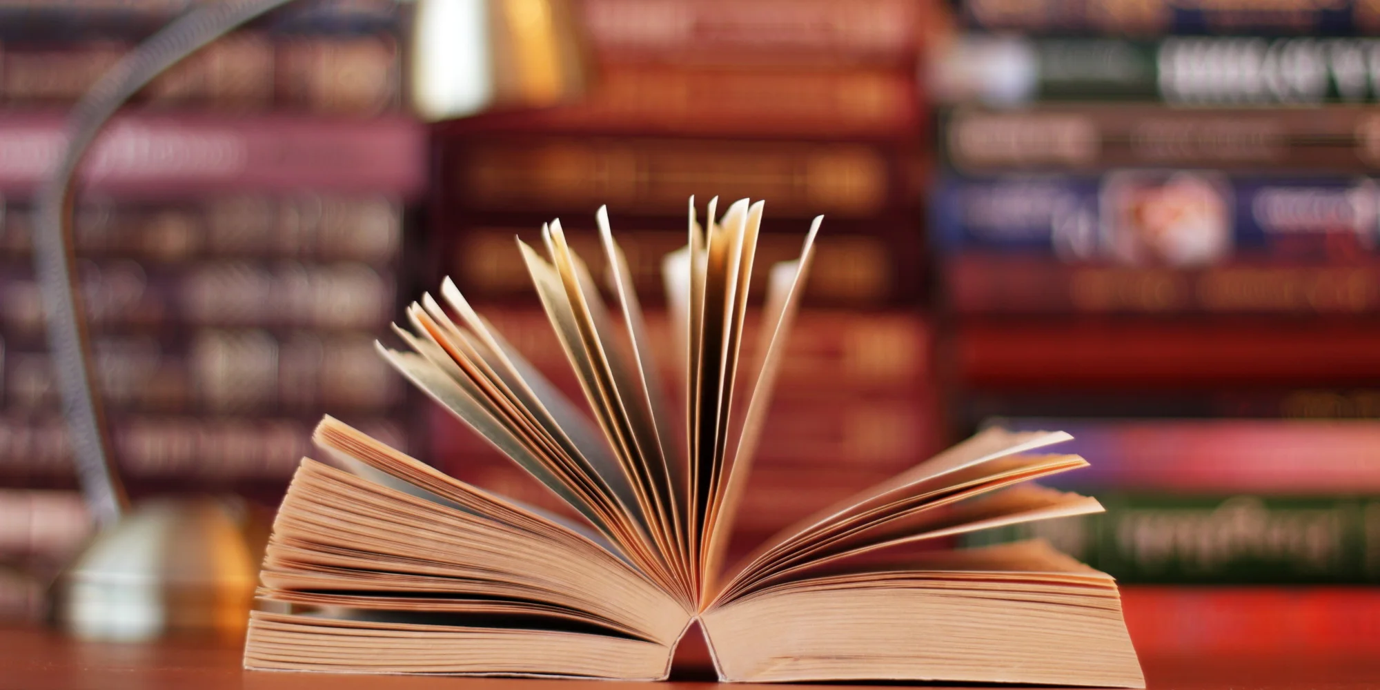 book image.jpg