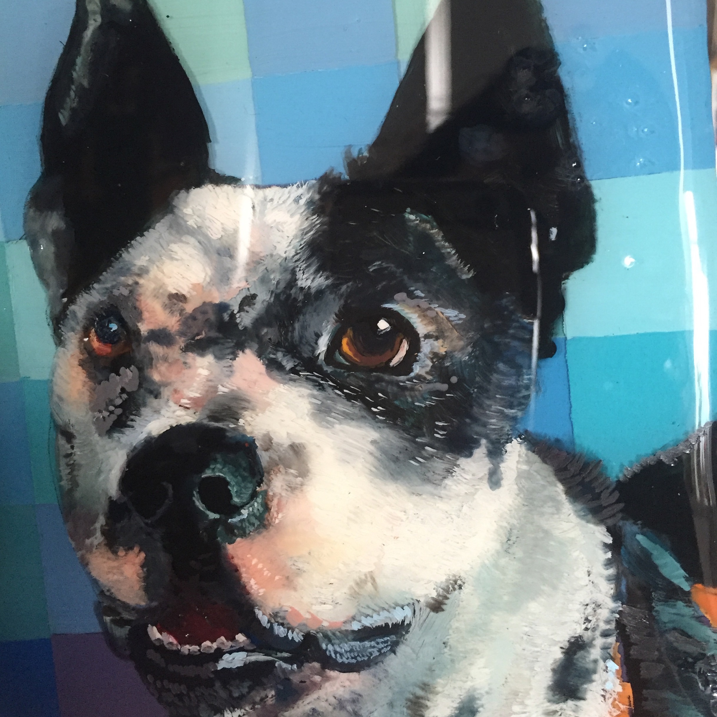 Animal Blessings: Indigo