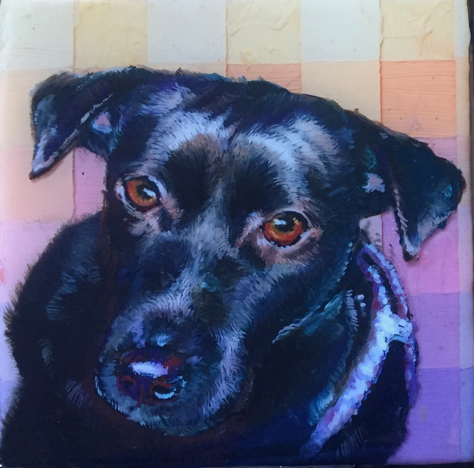 Animal Blessings: Isabel