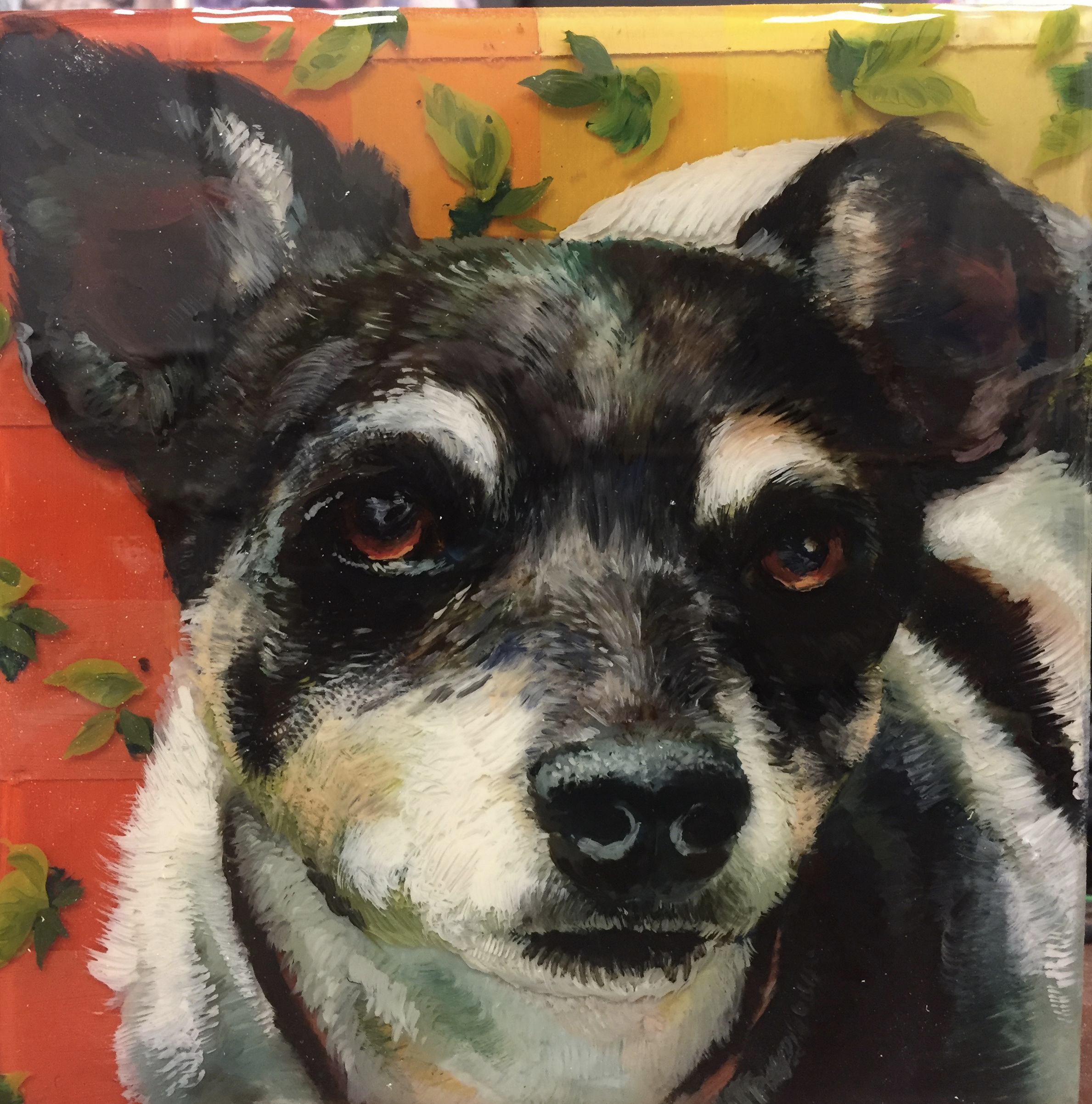 Animal Blessings: Buddy