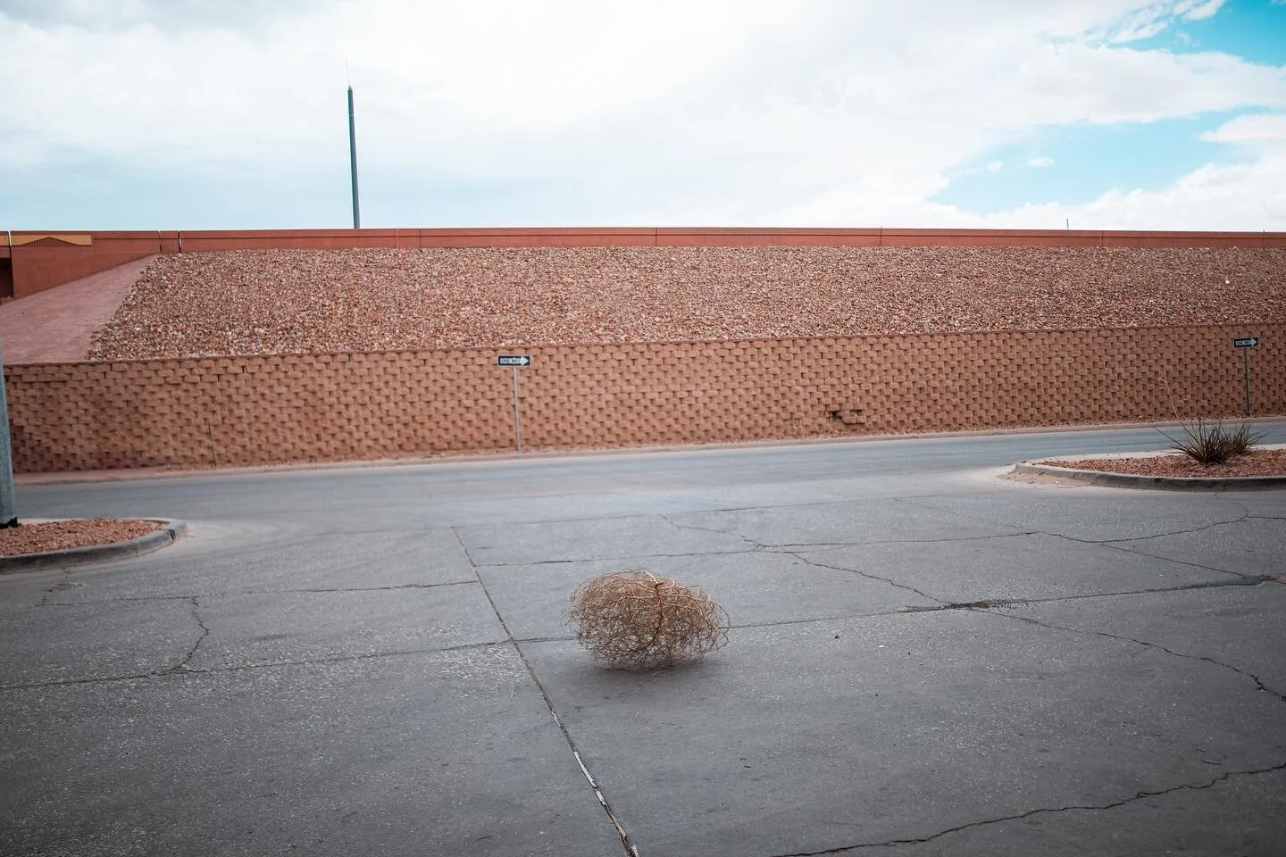 Take me away little tumbleweed, go.

Somewhere in Texas...🧡