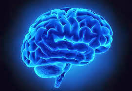 blue brain.jpg