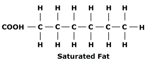 saturtaed+fat+bonds.jpg