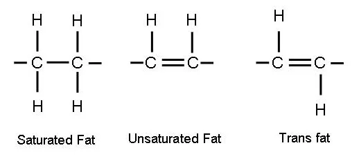 transfat1.jpg