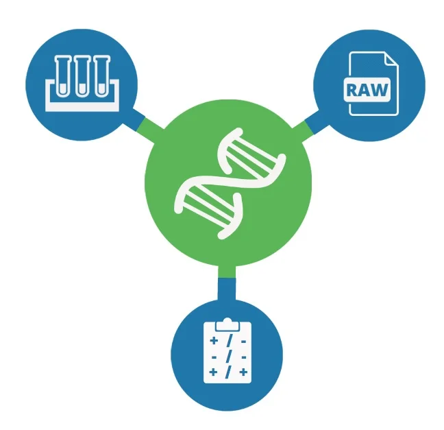Methylation Part 1: A Balancing Act