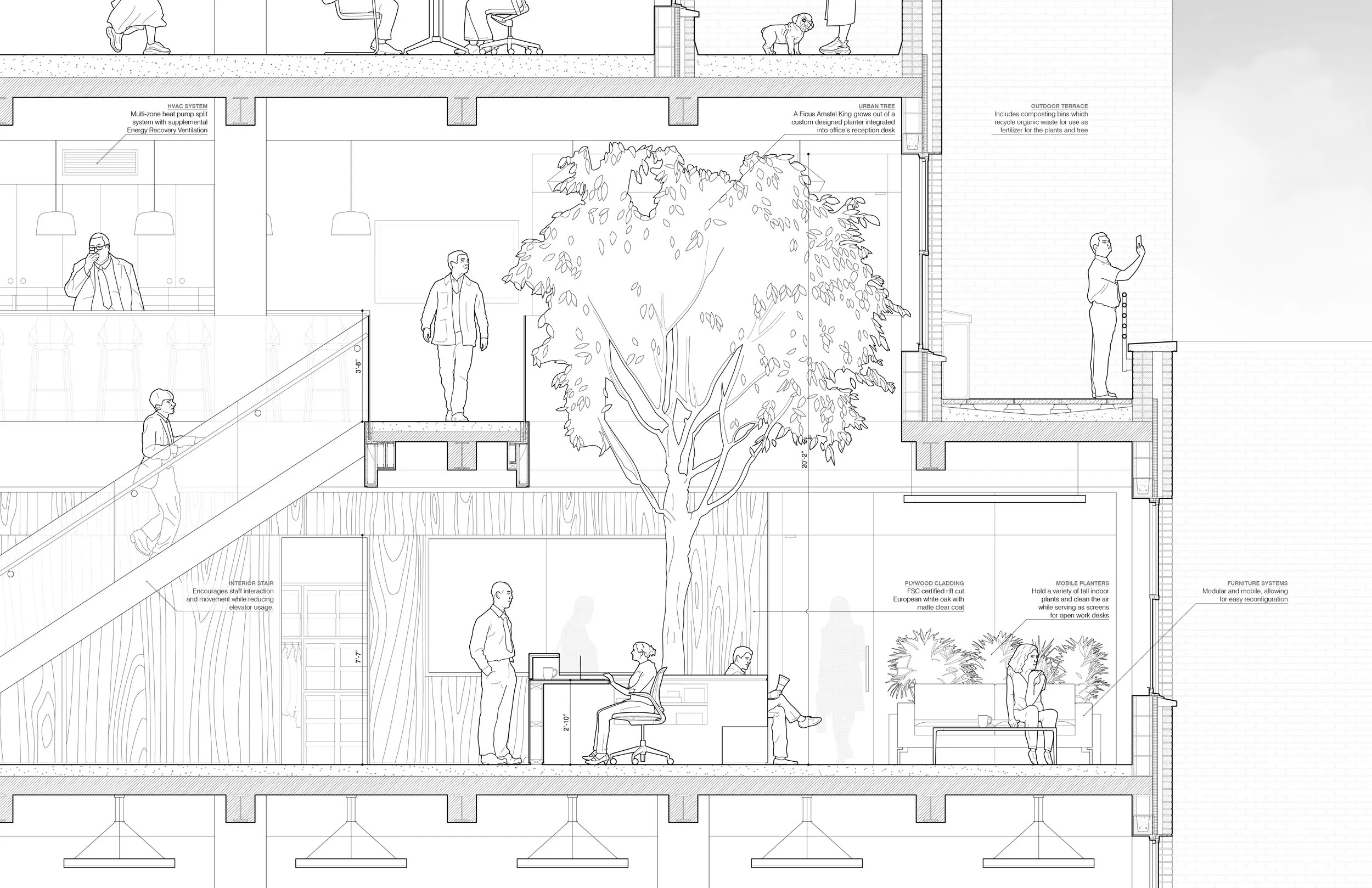 1801 detail section.jpg