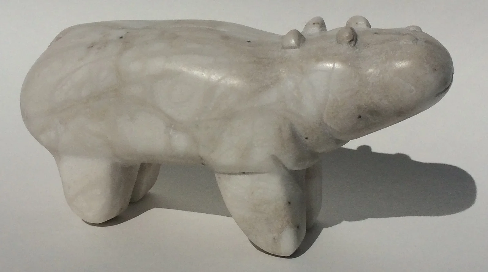 White Hippo