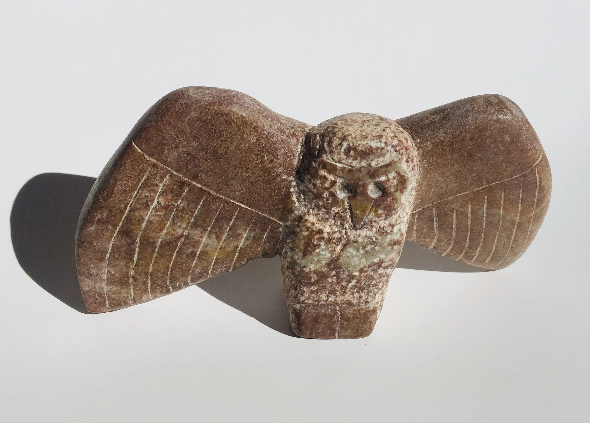 MochaOwl.jpg