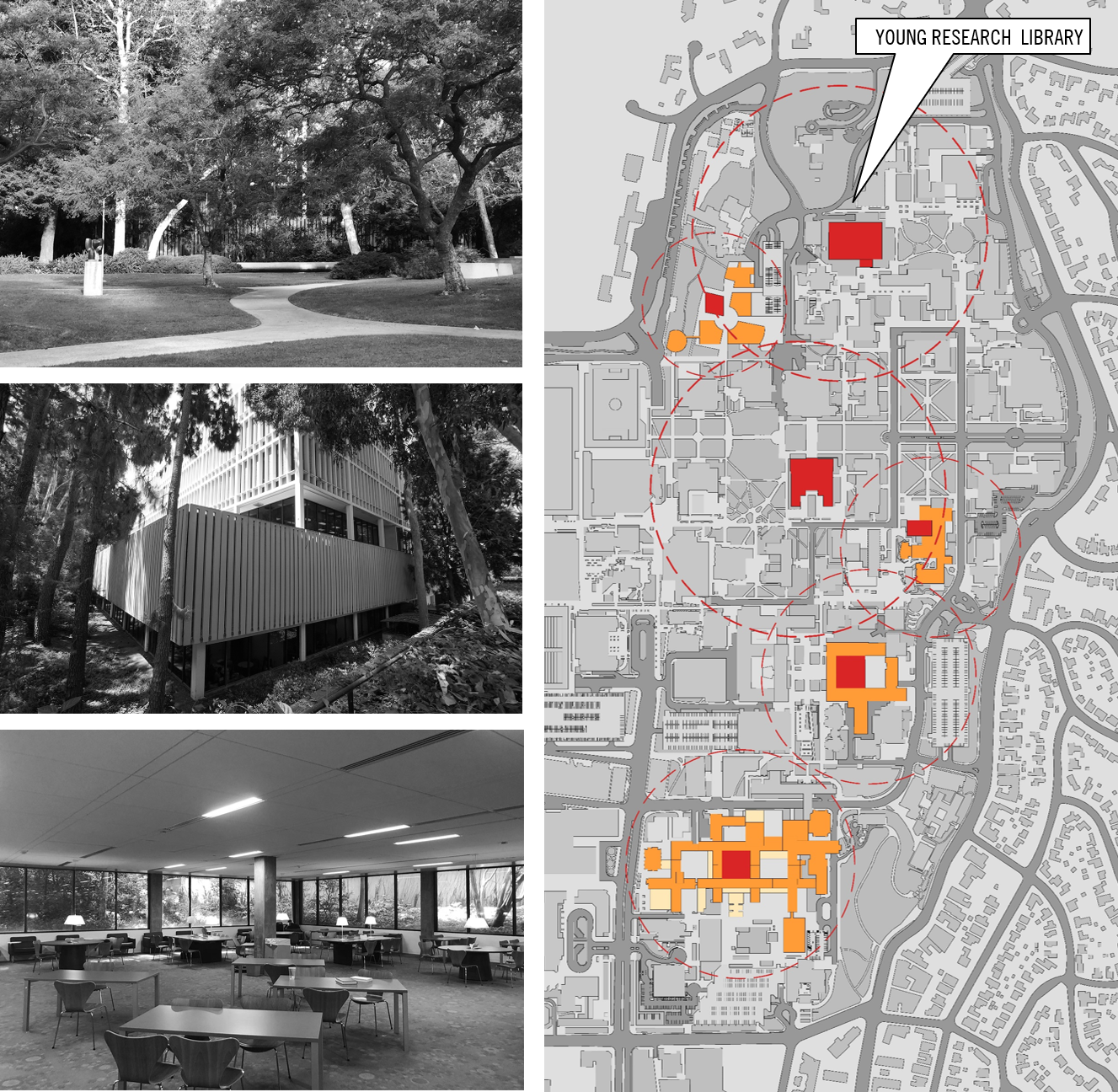 RE-INVESTMENT IN LIBRARIES Young Research Library, a mid-century bunker of a building, is the largest library on the UCLA campus. It requires some work to bring it to life, to become a place that’s more integrated into the life of the campus, a place where people want to be.