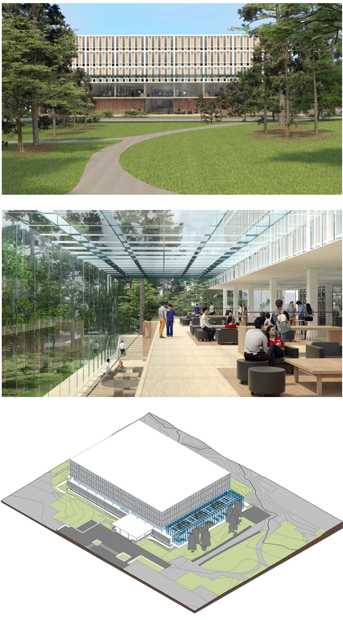 NEW LIFE FOR AN OLD LIBRARY The traditional idea of a great reading room such as that which can be found at Powell is here transformed into a glass membrane embedded in landscape and filled with light.