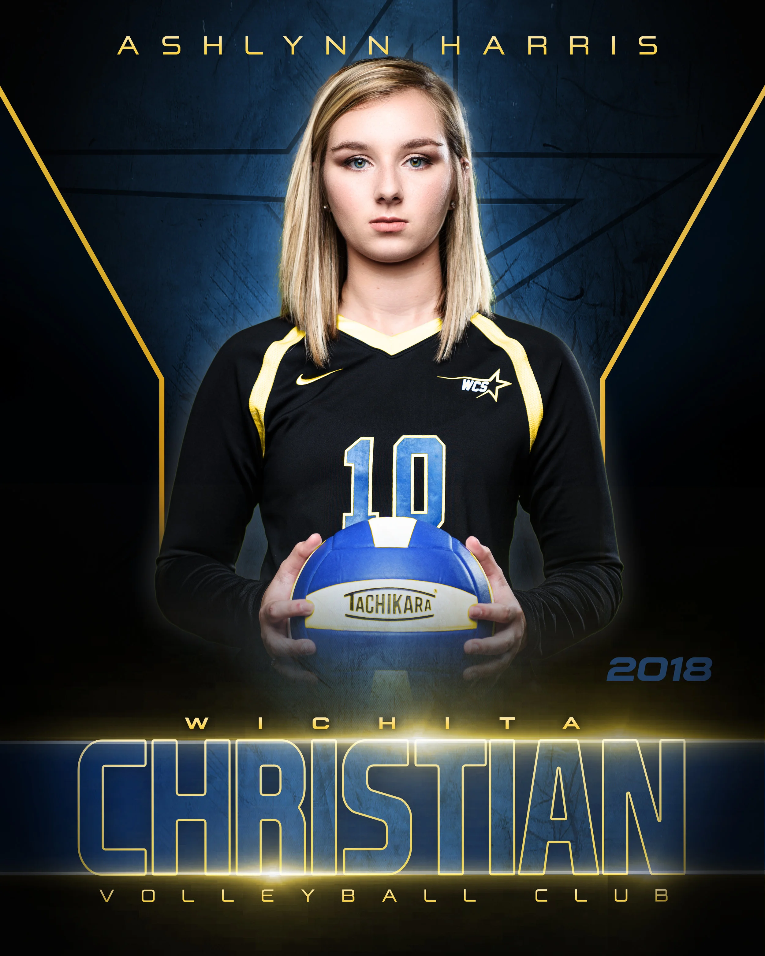 WCS_Vball_Ind_16x20_multi_color.jpg