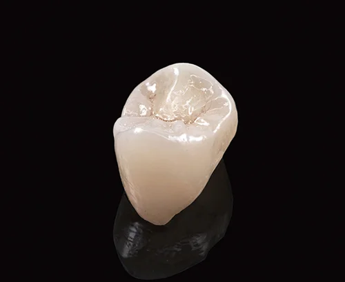 ZEUS ULTRA_PreMolar.jpg