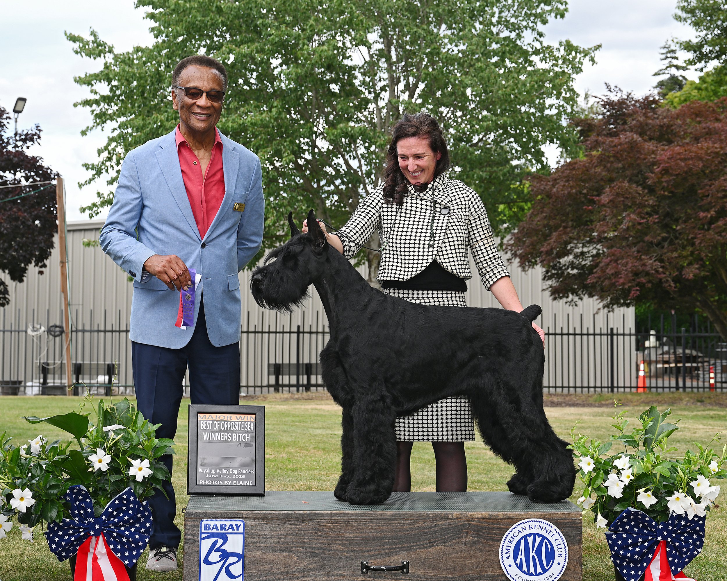 Ch Skansen's Figgy Toffee Pudding CGC      (aka Fig) Olive's Great, Great Granddaughter
