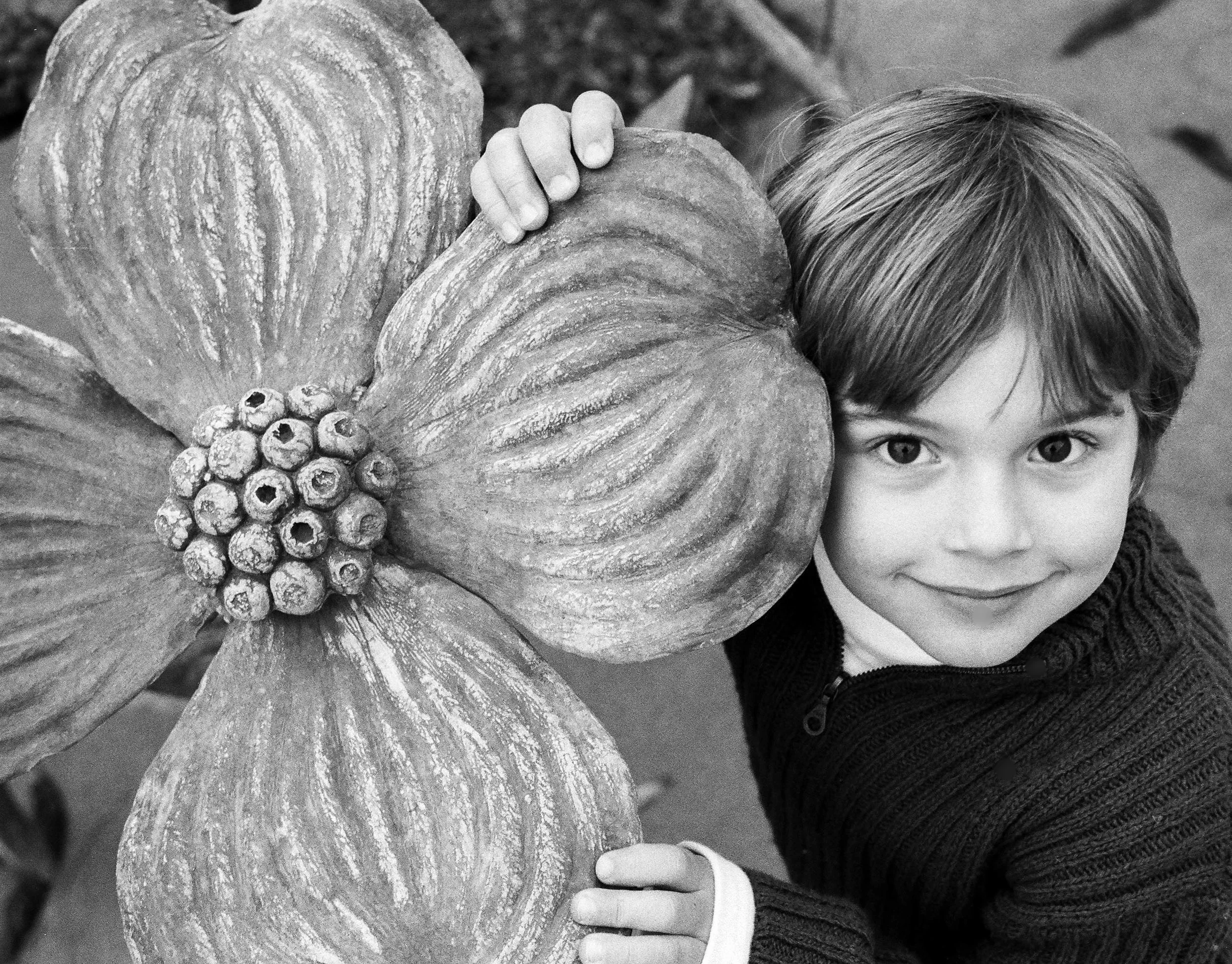 family-photos-chicago
