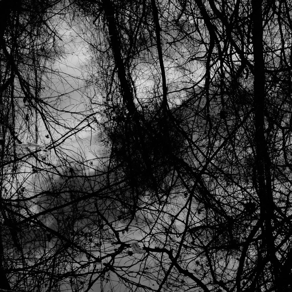 Beyond-15.jpg