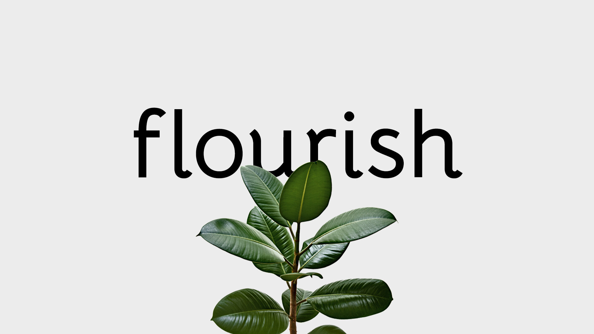 flourish-1920x1080.jpg