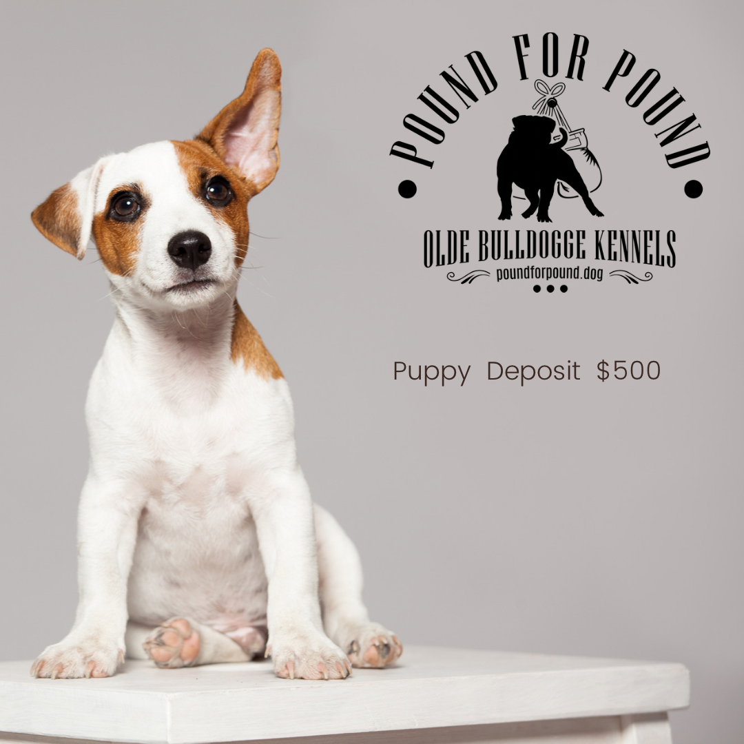 A27F9763-20F0-4D45-A310-B540C553EB98