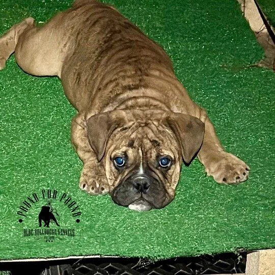 AC951726-A8F2-408E-87FC-783B53ED6748